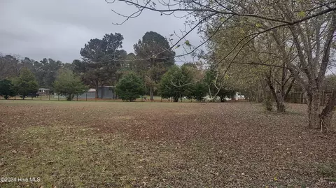 9921 Winters Rd, Bailey, NC 27807 photo 38