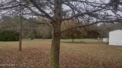 9921 Winters Rd, Bailey, NC 27807 photo 31