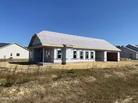 101 Rae Dr, Pikeville, NC 27863