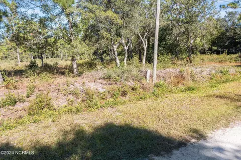 L23 Stag Drive, Hampstead, NC 28443 photo 5