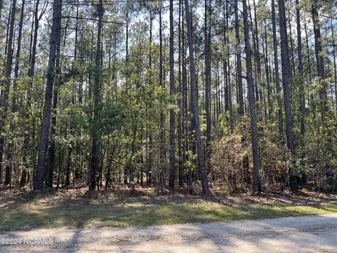 159 Tranquil Ln, Hamlet, NC 28345