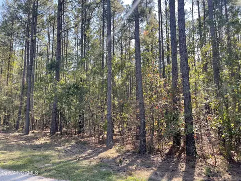 159 Tranquil Ln, Hamlet, NC 28345 photo 10