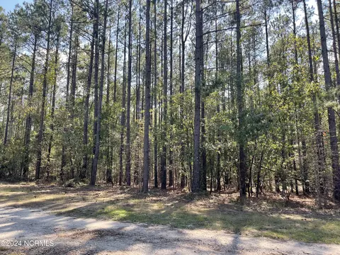 159 Tranquil Ln, Hamlet, NC 28345 photo 4