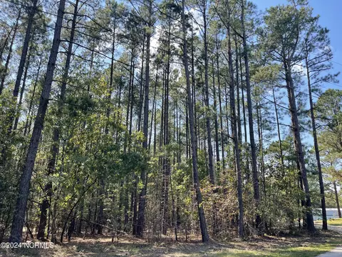 159 Tranquil Ln, Hamlet, NC 28345 photo 5