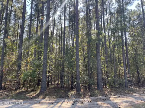 159 Tranquil Ln, Hamlet, NC 28345 photo 9