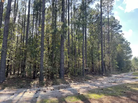 159 Tranquil Ln, Hamlet, NC 28345 photo 8