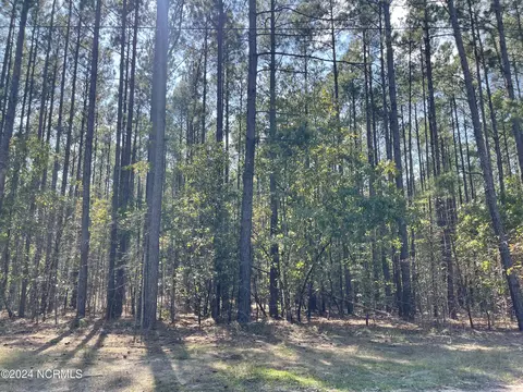 159 Tranquil Ln, Hamlet, NC 28345 photo 6