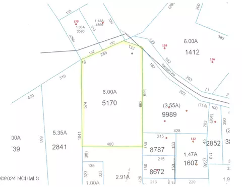 159 Tranquil Ln, Hamlet, NC 28345 photo 11