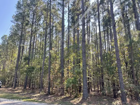 159 Tranquil Ln, Hamlet, NC 28345 photo 7