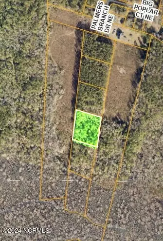 lot4 Palmers Branch Dr NE, Leland, NC 28451