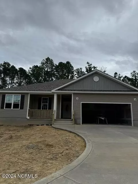 202 Flytrap Ln, Sneads Ferry, NC 28460 photo 2