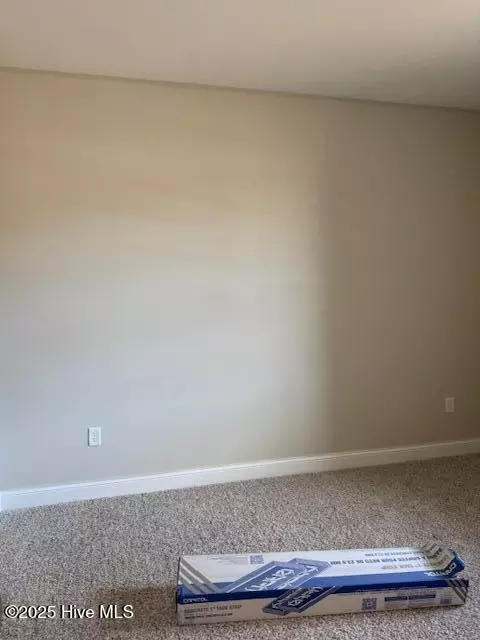 202 Flytrap Ln, Sneads Ferry, NC 28460 photo 9