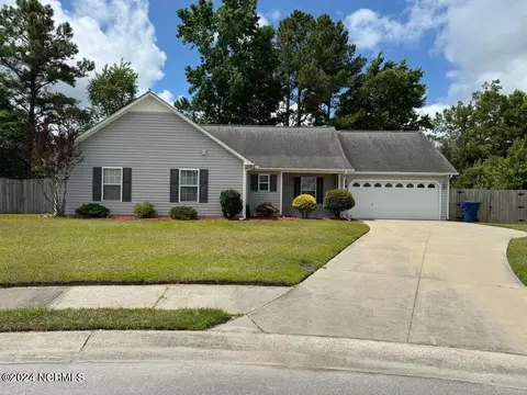 1201 Wormwood Branch Ct, Havelock, NC 28532