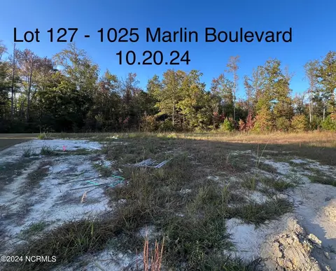 1025 Marlin Blvd, New Bern, NC 28562
