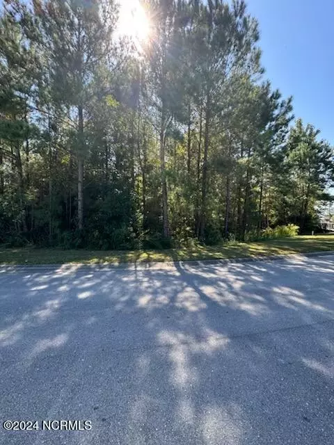 271 Twining Rose Ln, Holly Ridge, NC 28445