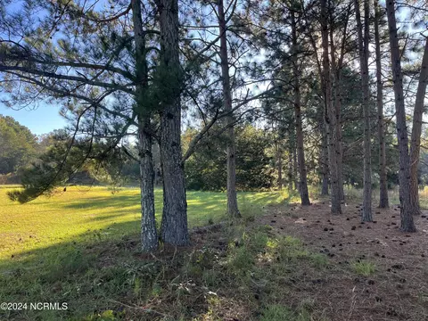 tbd Mcduffie Rd, Biscoe, NC 27209 photo 6
