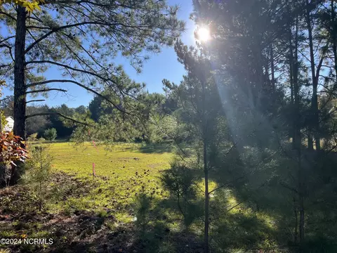 tbd Mcduffie Rd, Biscoe, NC 27209 photo 8