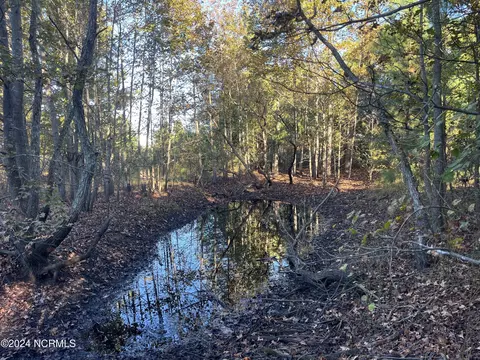 tbd Mcduffie Rd, Biscoe, NC 27209 photo 5