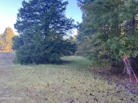 tbd Mcduffie Rd, Biscoe, NC 27209 photo 2