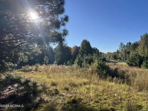 tbd Mcduffie Rd, Biscoe, NC 27209 photo 3