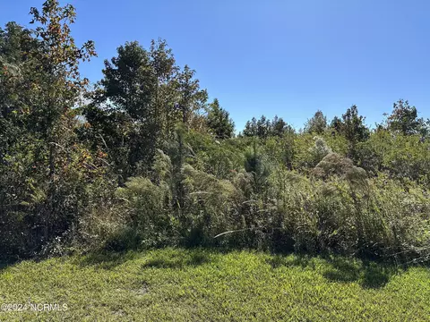 844 Wakelon Rd, Windsor, NC 27983 photo 3