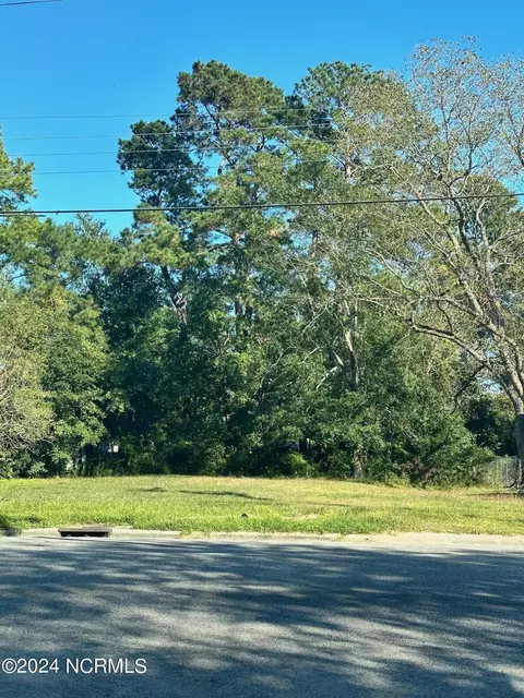 207 S Brown St, Chadbourn, NC 28431 photo 6