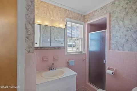 Bath - 144 Jones Cir, Chocowinity, NC 27817 photo 3 of 3