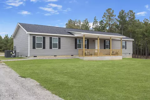 493 Peggy Mill Rd, Hamlet, NC 28345
