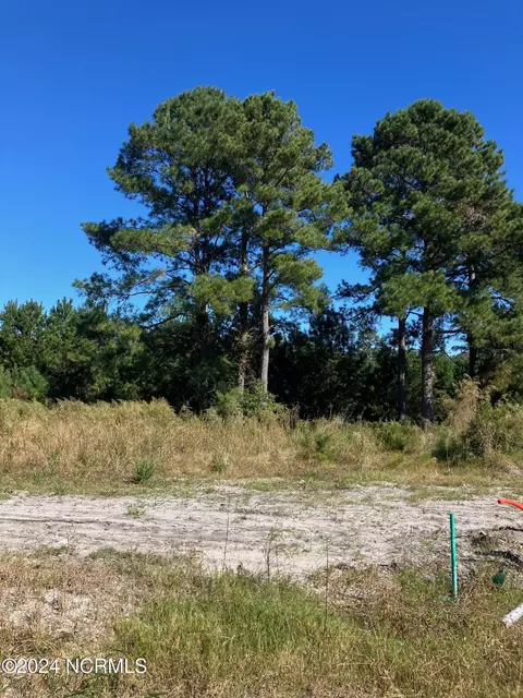 970 Montclair Pl SW, Sunset Beach, NC 28468 photo 3