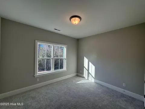 162 Coburn Ct, Hampstead, NC 28443 photo 17
