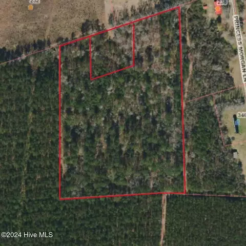 11 5 Acres Ernest Valeria Ln, Willard, NC 28478