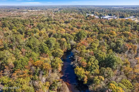 View/Area - 950 Main St, Fair Bluff, NC 28439 photo 3 of 10