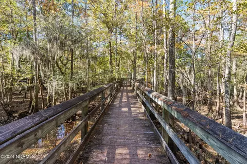 Other - 950 Main St, Fair Bluff, NC 28439 photo 13 of 23
