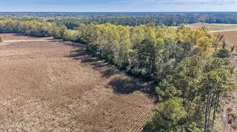 205 Cedar Fork Rd, Beulaville, NC 28518 photo 12