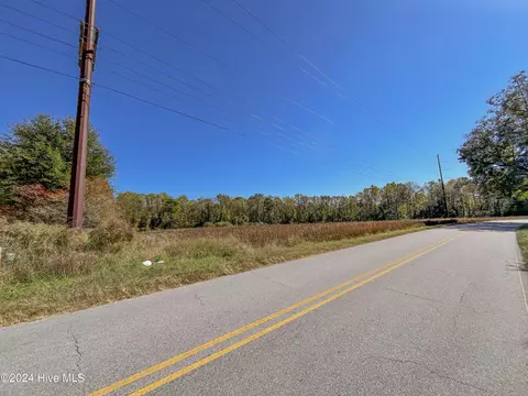 205 Cedar Fork Rd, Beulaville, NC 28518 photo 8