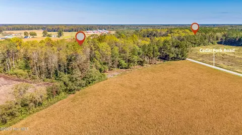 205 Cedar Fork Rd, Beulaville, NC 28518 photo 15