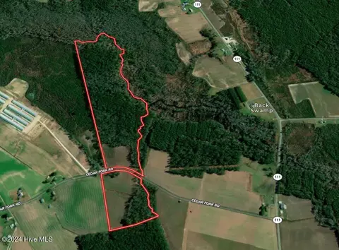 205 Cedar Fork Rd, Beulaville, NC 28518 photo 2