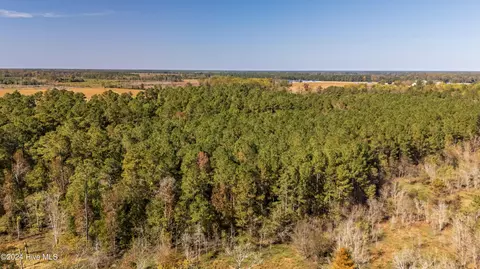 205 Cedar Fork Rd, Beulaville, NC 28518 photo 6