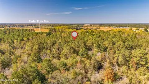205 Cedar Fork Rd, Beulaville, NC 28518 photo 11