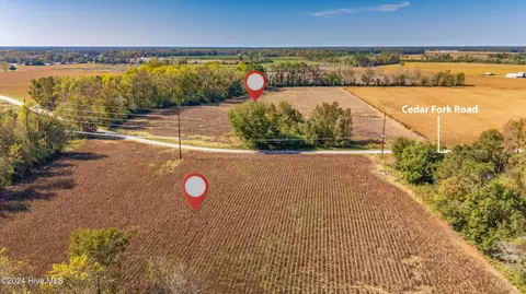 205 Cedar Fork Rd, Beulaville, NC 28518 photo 5