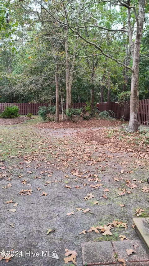 Exterior - 310 Headwaters Dr, Hampstead, NC 28443 photo 5 of 13