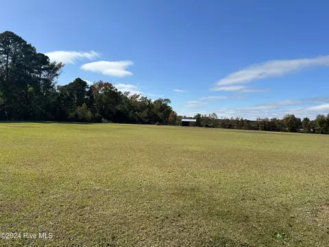 2252 Albert Langston Rd, Deep Run, NC 28525 photo 54