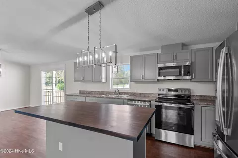 2252 Albert Langston Rd, Deep Run, NC 28525 photo 7