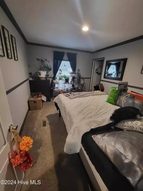 201 Bowles Place Dr, Como, NC 27818 photo 23
