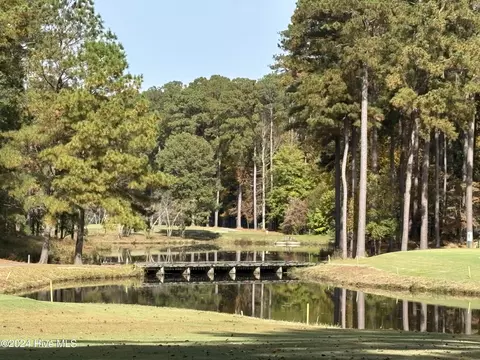 View/Area - 163 Santee Dr, Chocowinity, NC 27817 photo 12 of 22