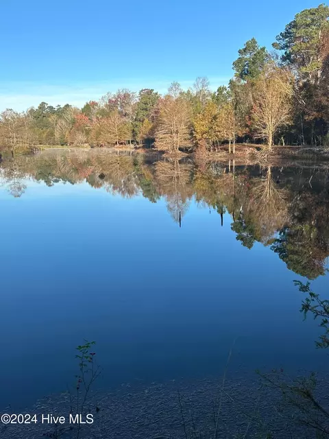 View/Area - 71 Ivanhoe Rd, Atkinson, NC 28421 photo 2 of 3