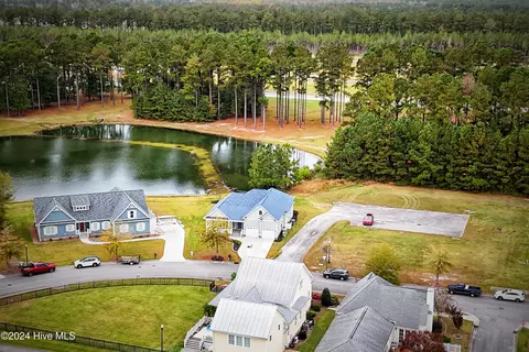 View/Area - 4010 Reunion Pointe Ln, New Bern, NC 28562 photo 4 of 15