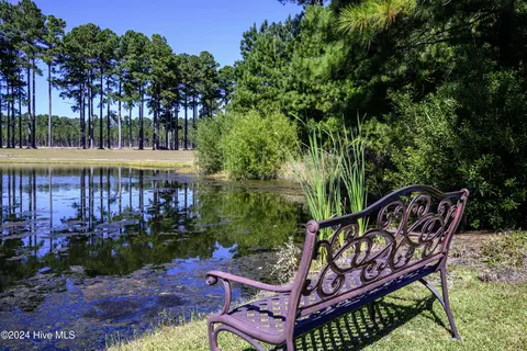 View/Area - 4010 Reunion Pointe Ln, New Bern, NC 28562 photo 15 of 15