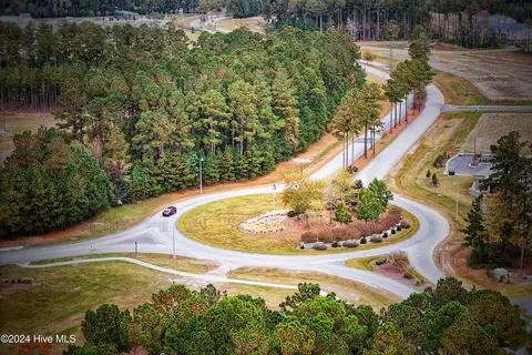 View/Area - 4010 Reunion Pointe Ln, New Bern, NC 28562 photo 14 of 15