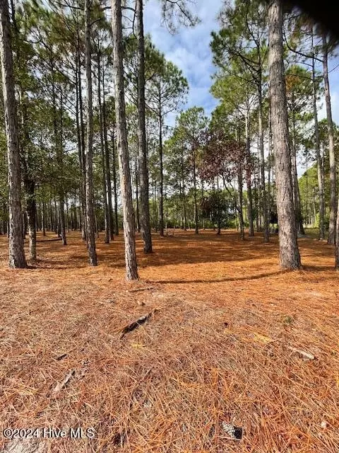 6781 Holton Pl SW, Ocean Isle Beach, NC 28469